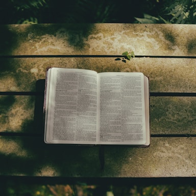 A peaceful open Bible resting on a wooden table with soft natural light.