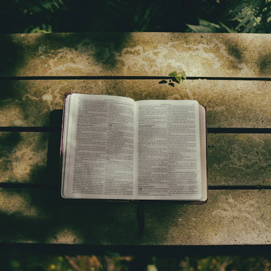 Softly lit photo of an open Bible resting on a wooden table with a gentle morning light streaming in.