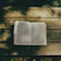 A softly lit photo of a person reading a well-worn Bible by a window with gentle green plants nearby.
