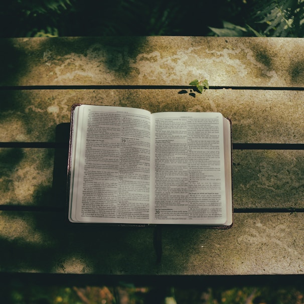 An open Bible resting on a wooden table, with sunlight illuminating the pages.