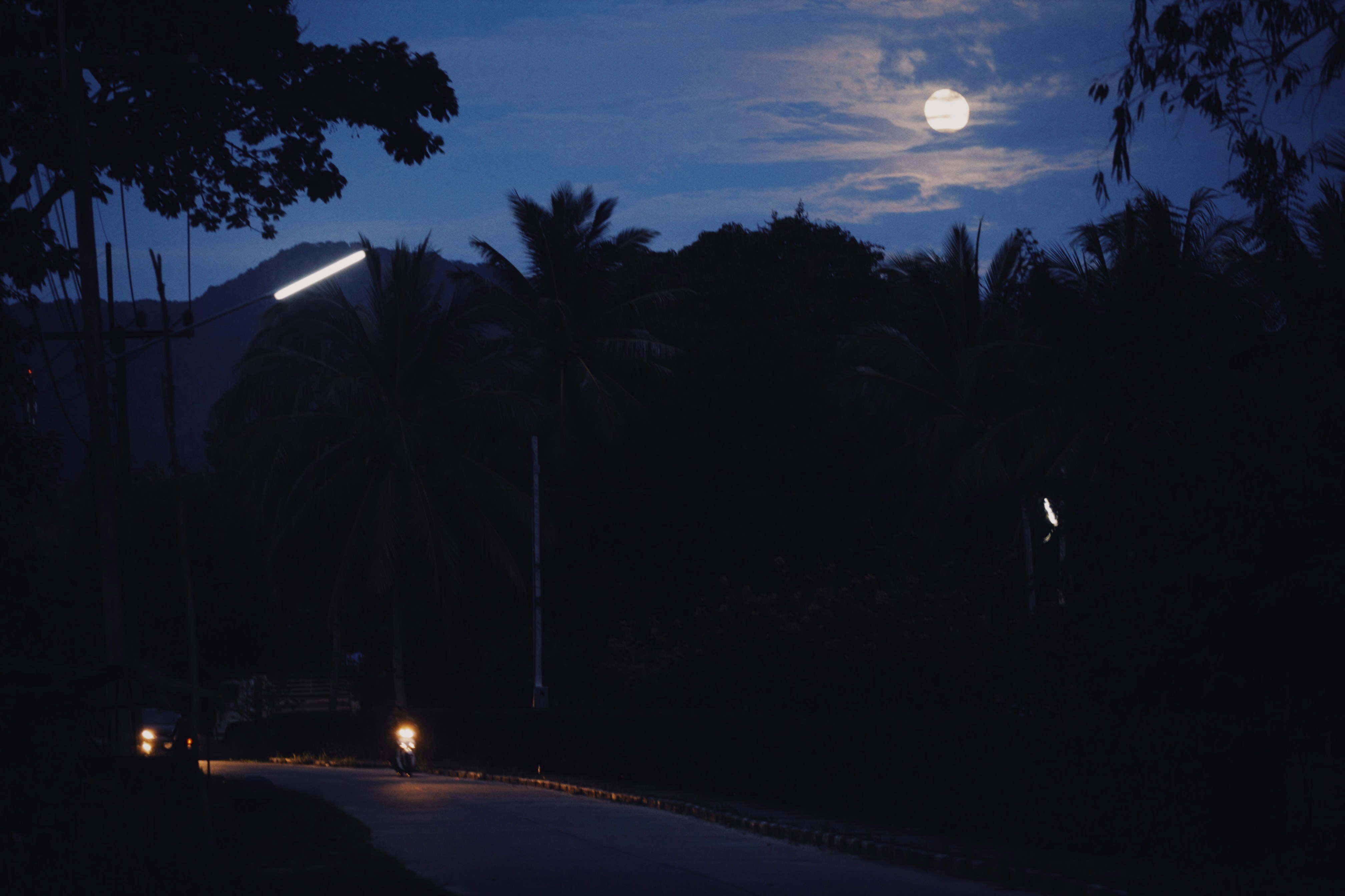 What Early Observers Actually Witnessed (image credits: unsplash)