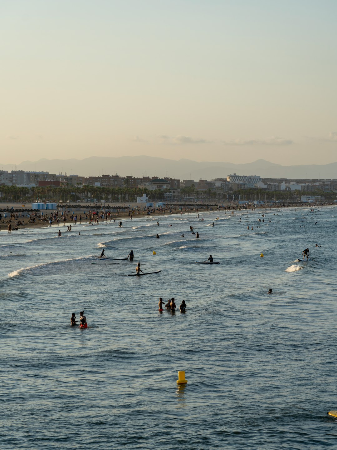 people on beach during daytime