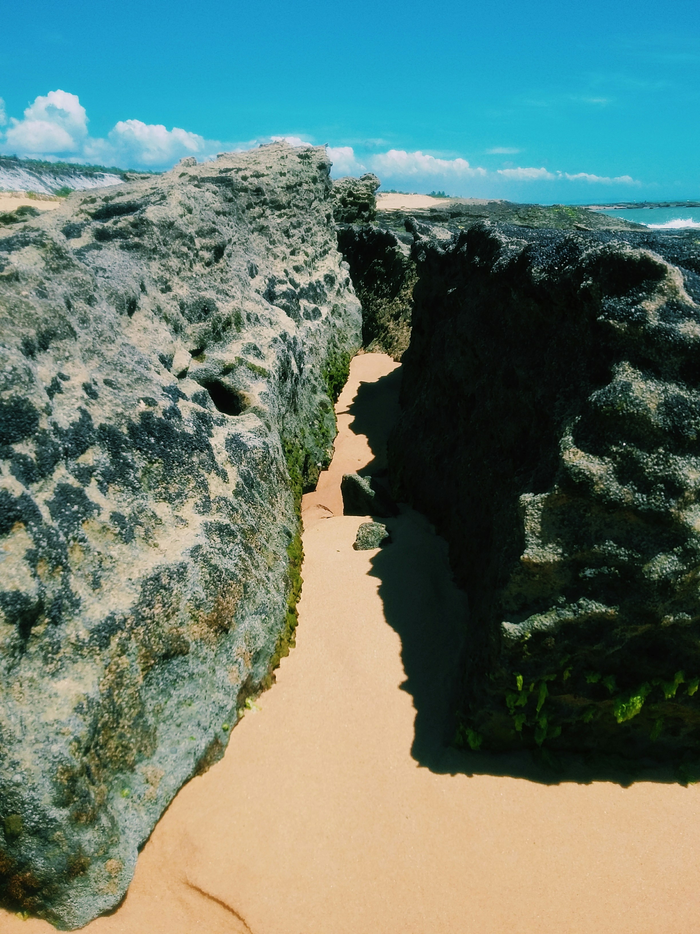 Paulo Moraes (@bypaulomb) | Unsplash Photo Community