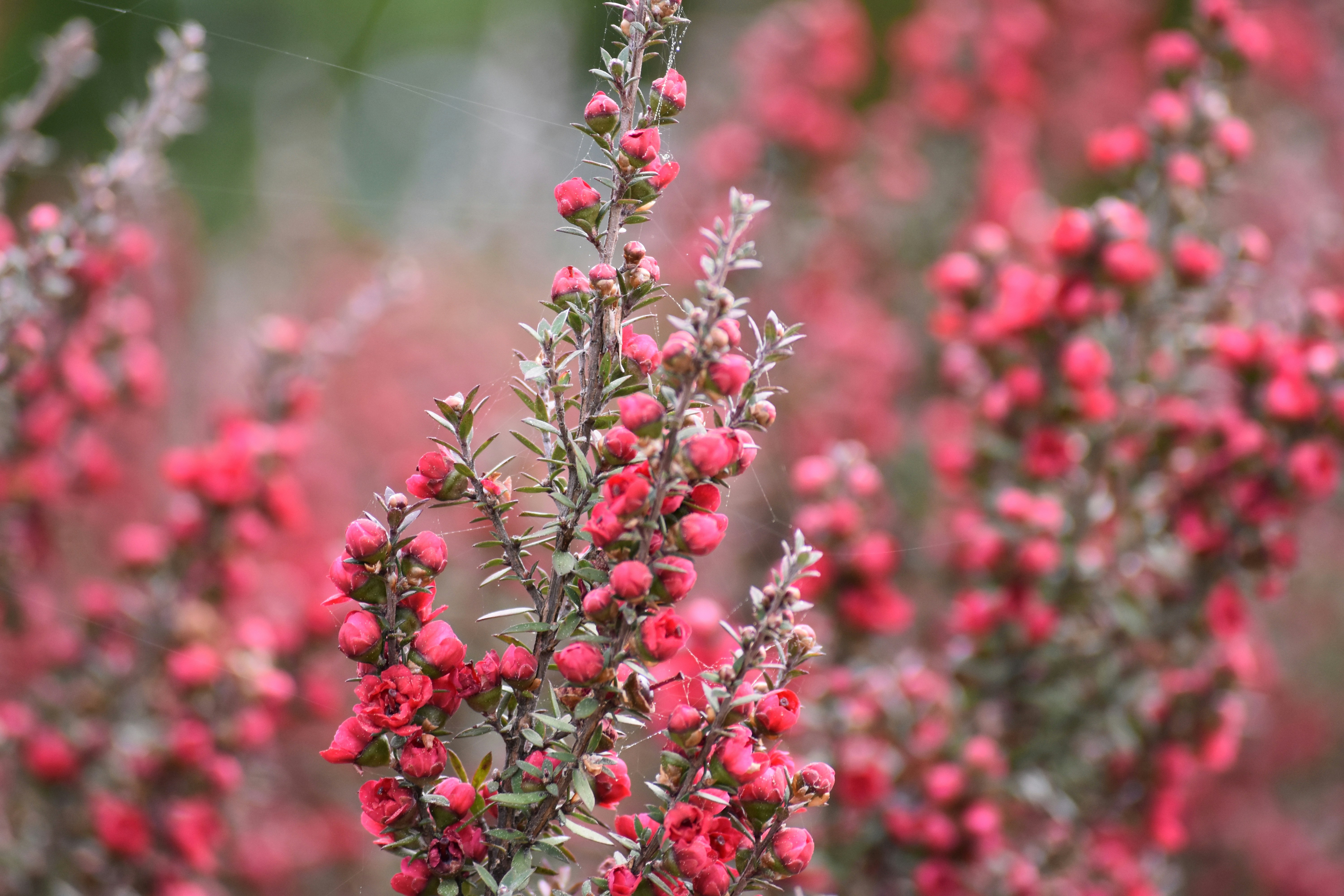 Photo by ellephant_photography