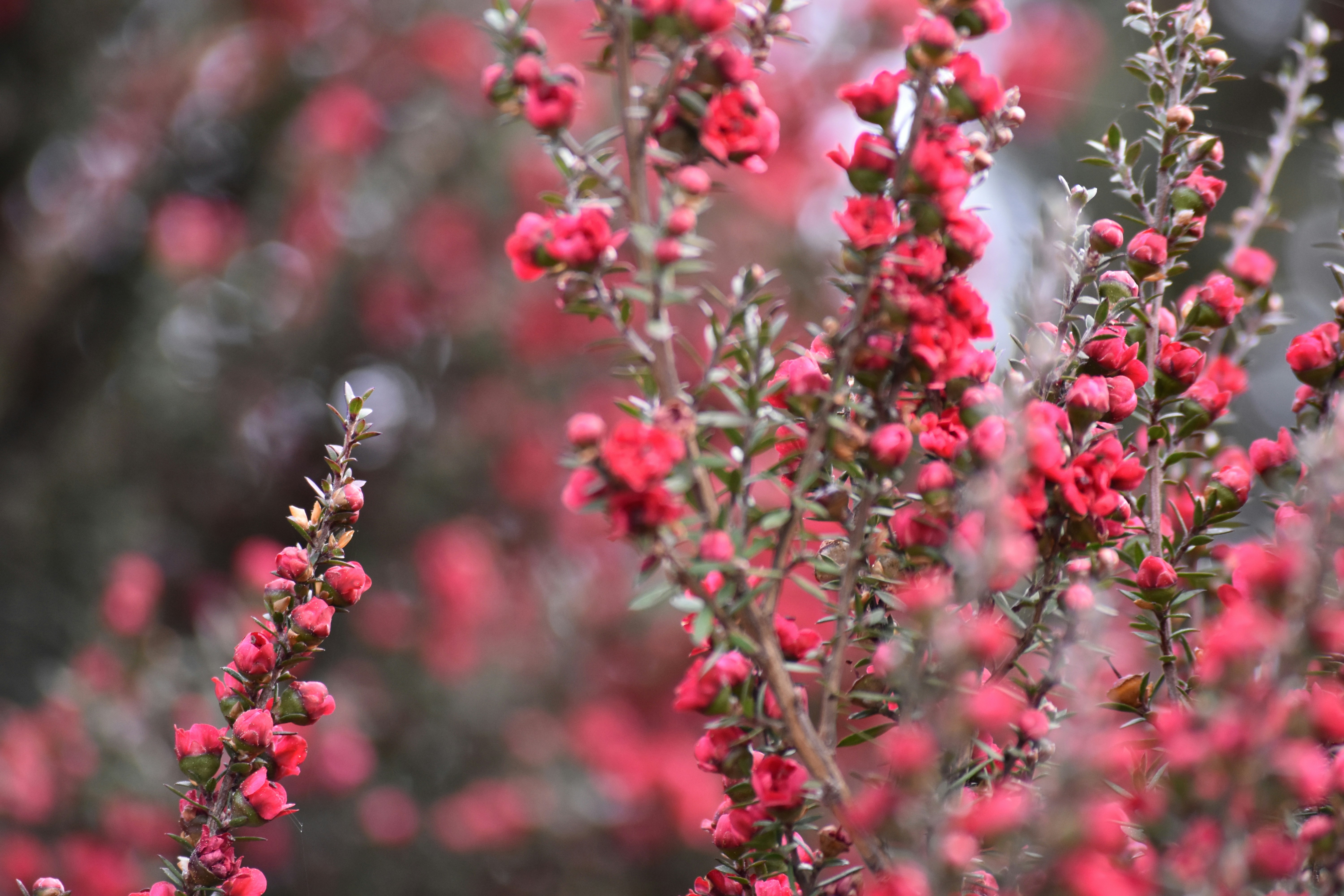 Photo by ellephant_photography