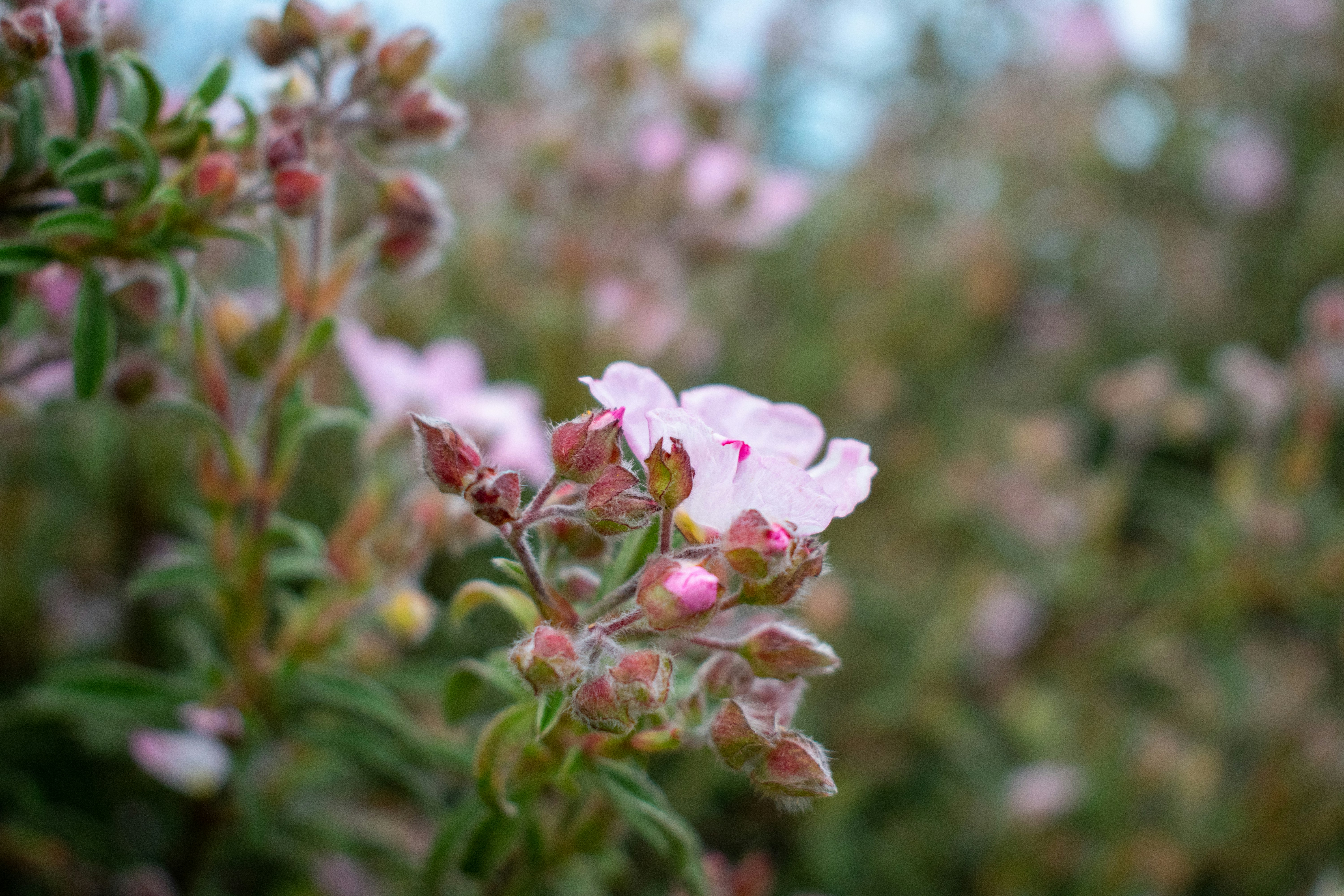 Photo by ellephant_photography