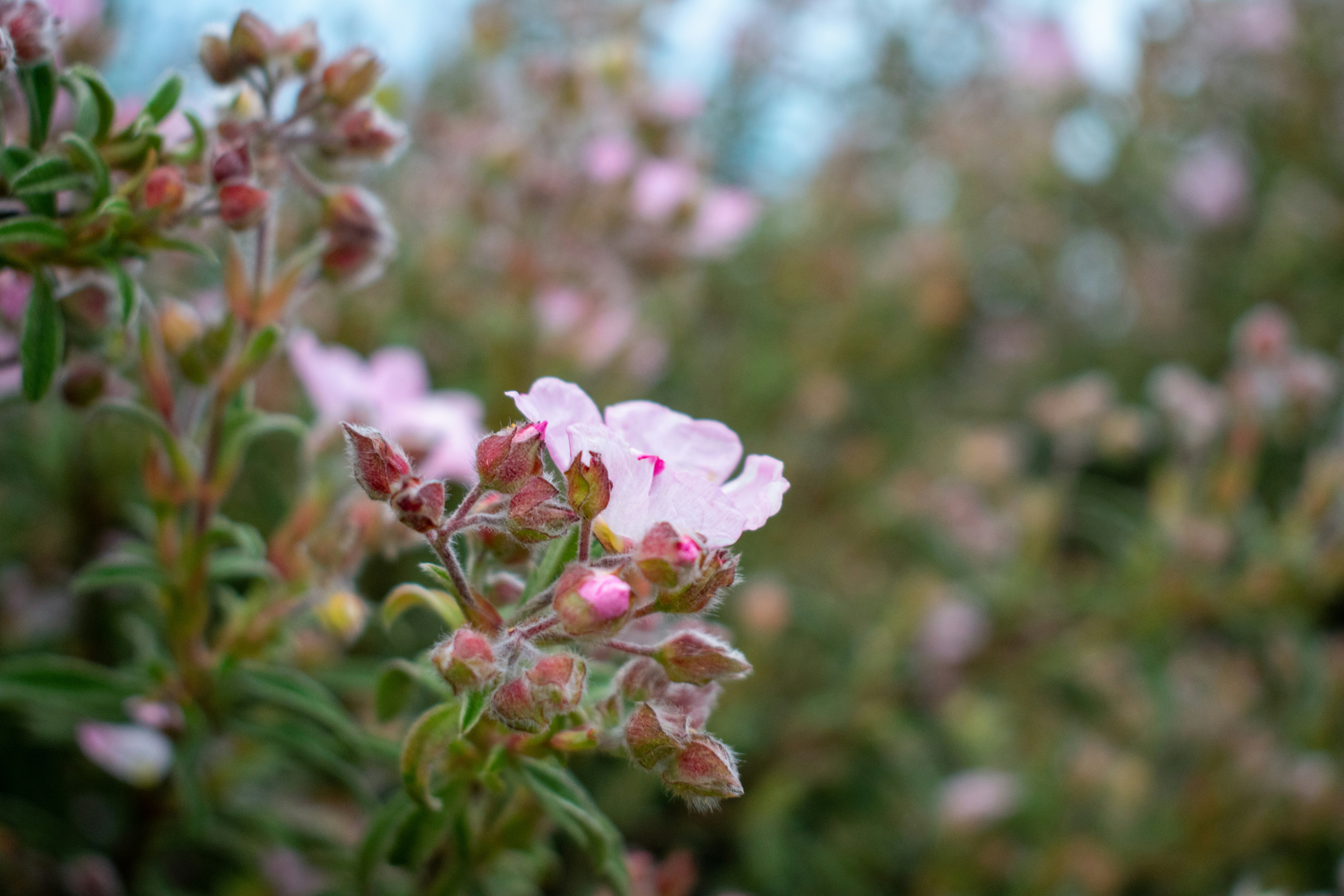 Photo by ellephant_photography