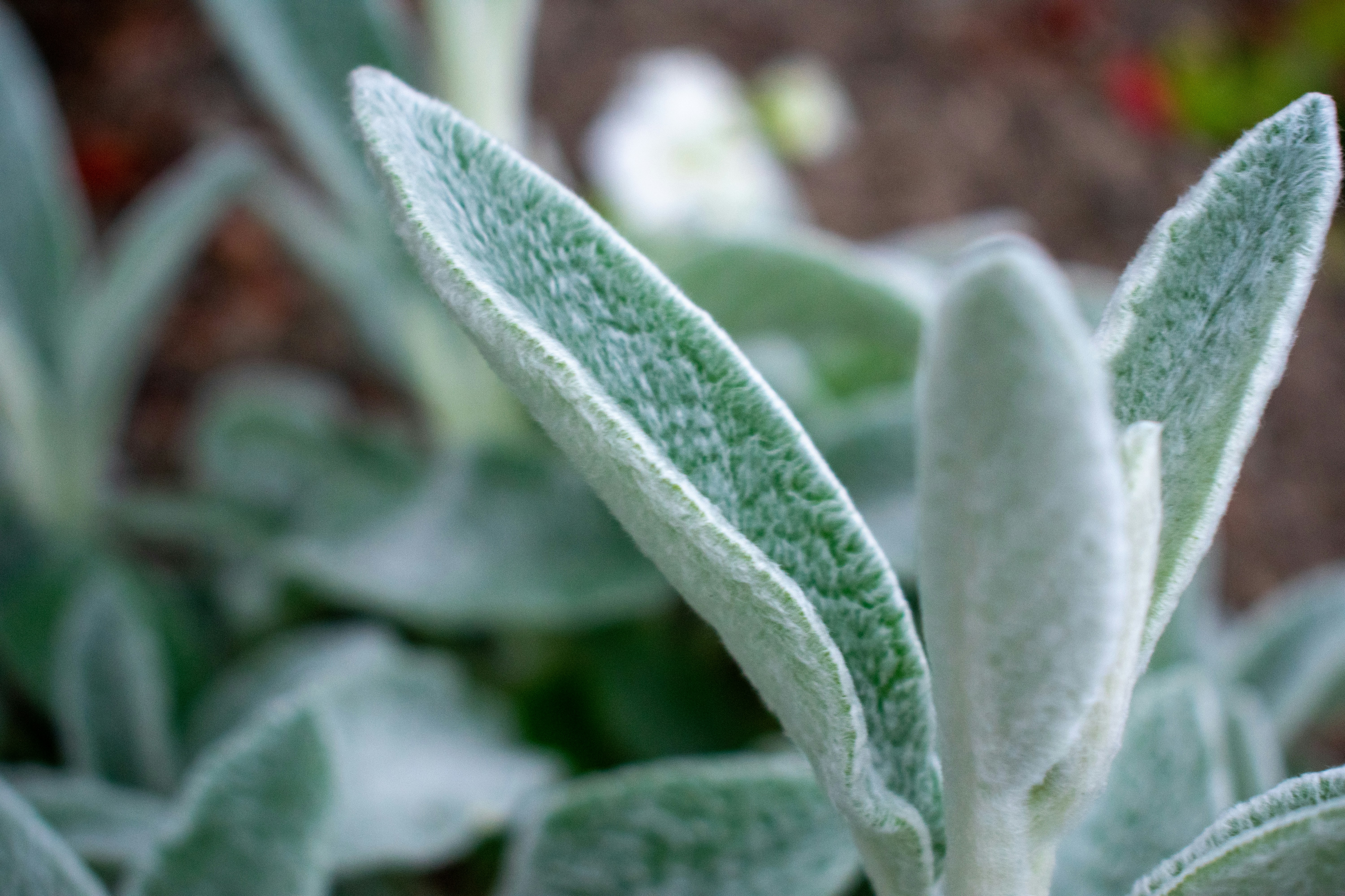 Photo by ellephant_photography