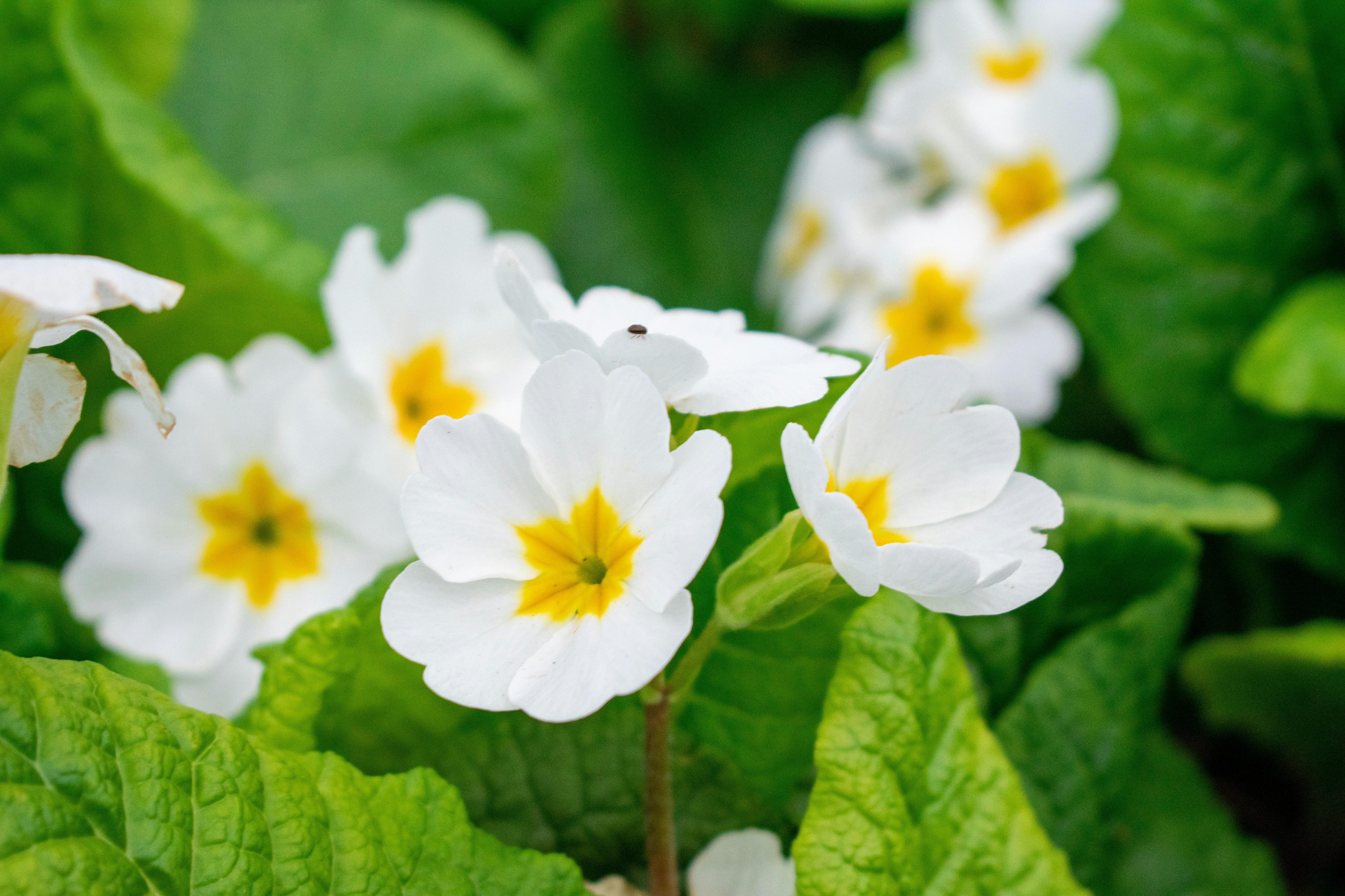 Photo by ellephant_photography