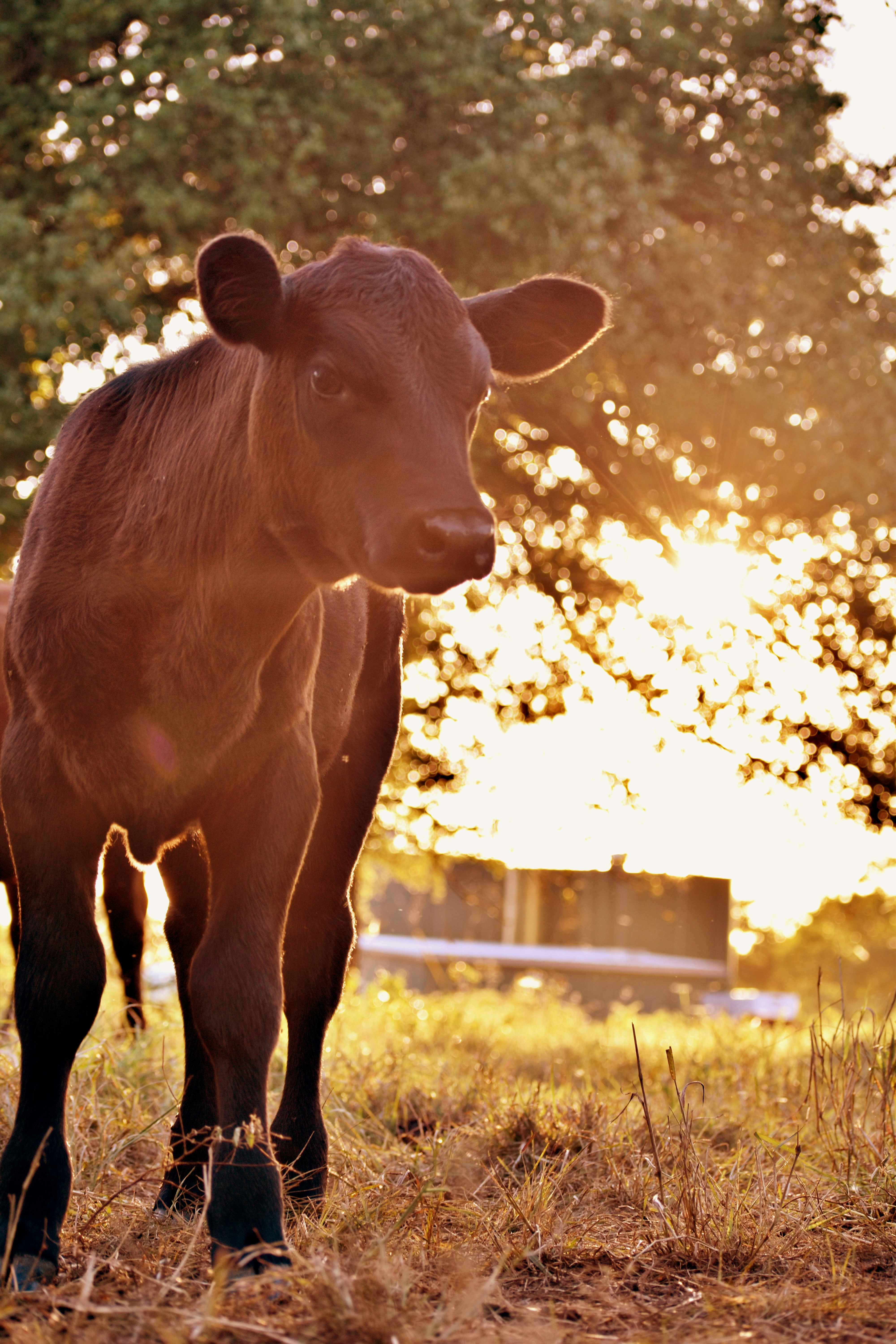 Photo by luketittley