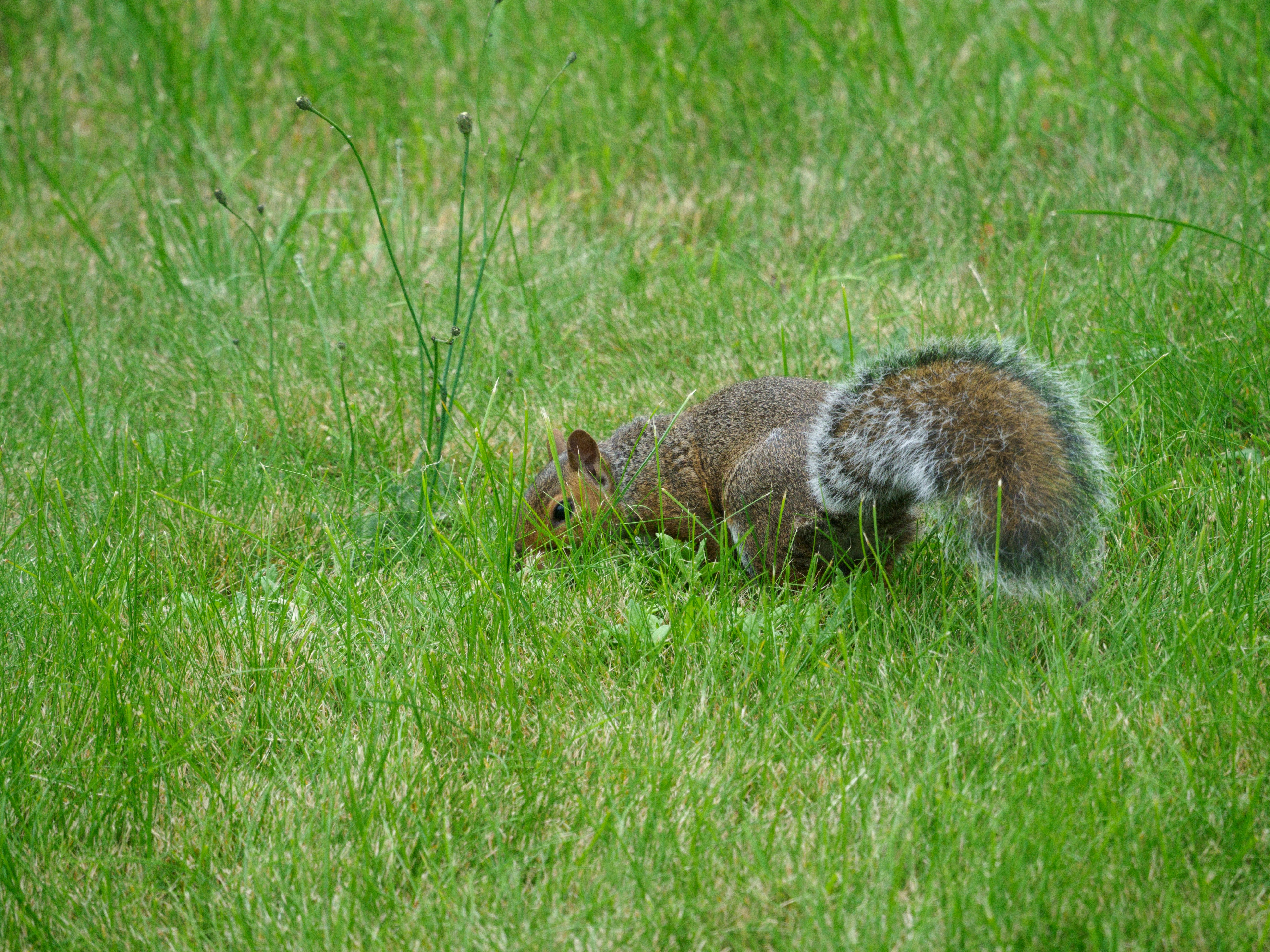 Photo by brett_jordan