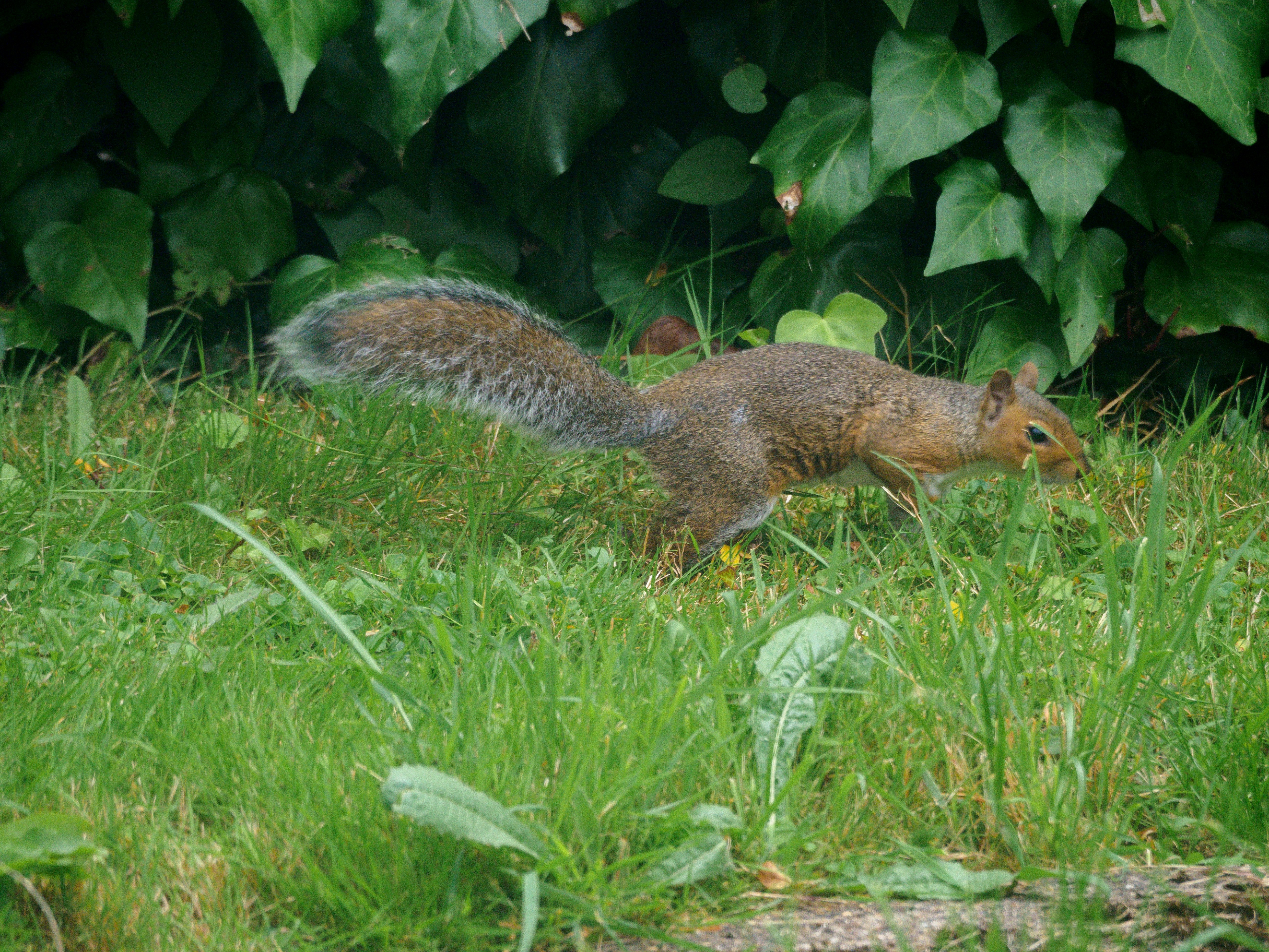 Photo by brett_jordan