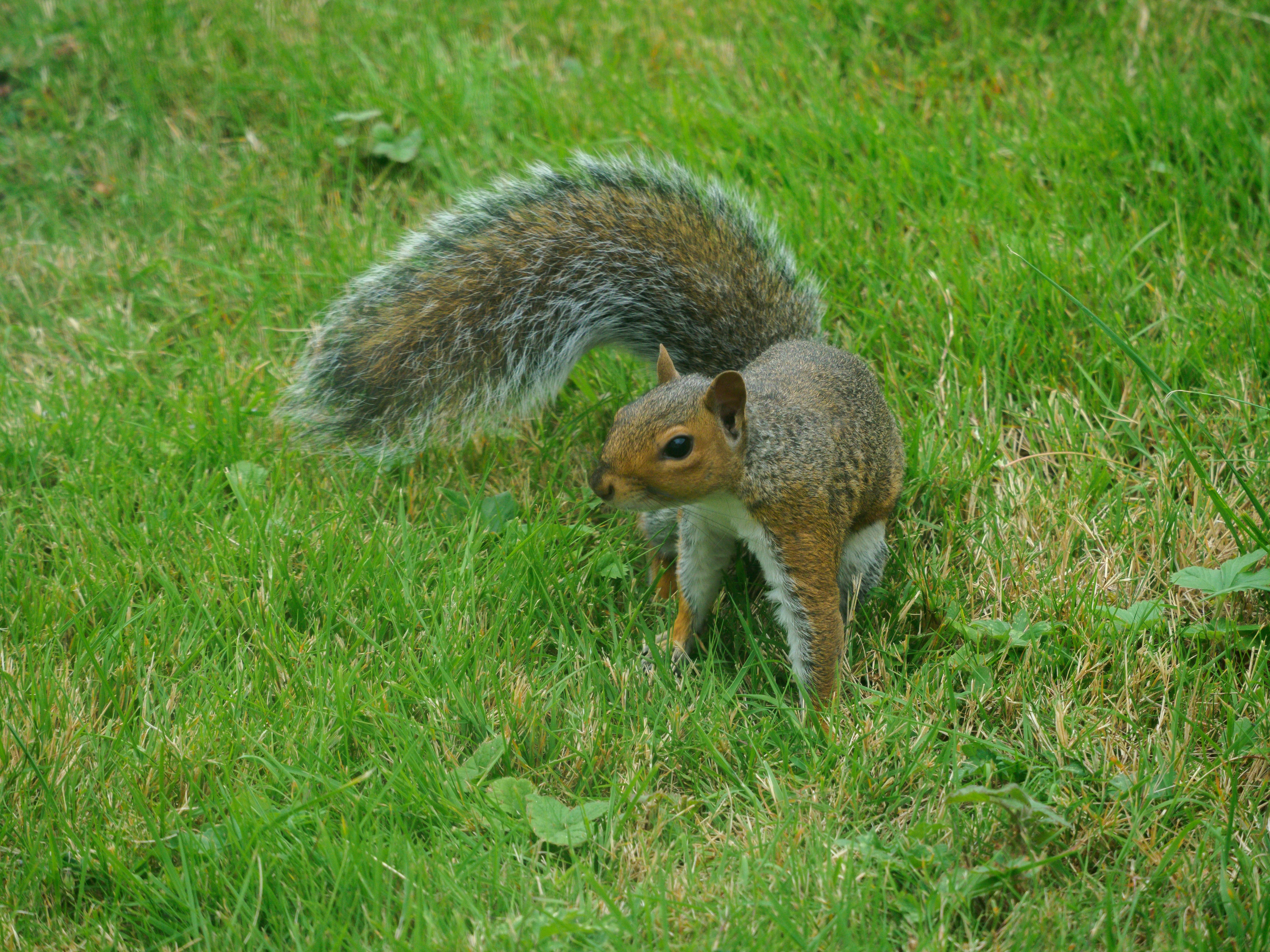 Photo by brett_jordan