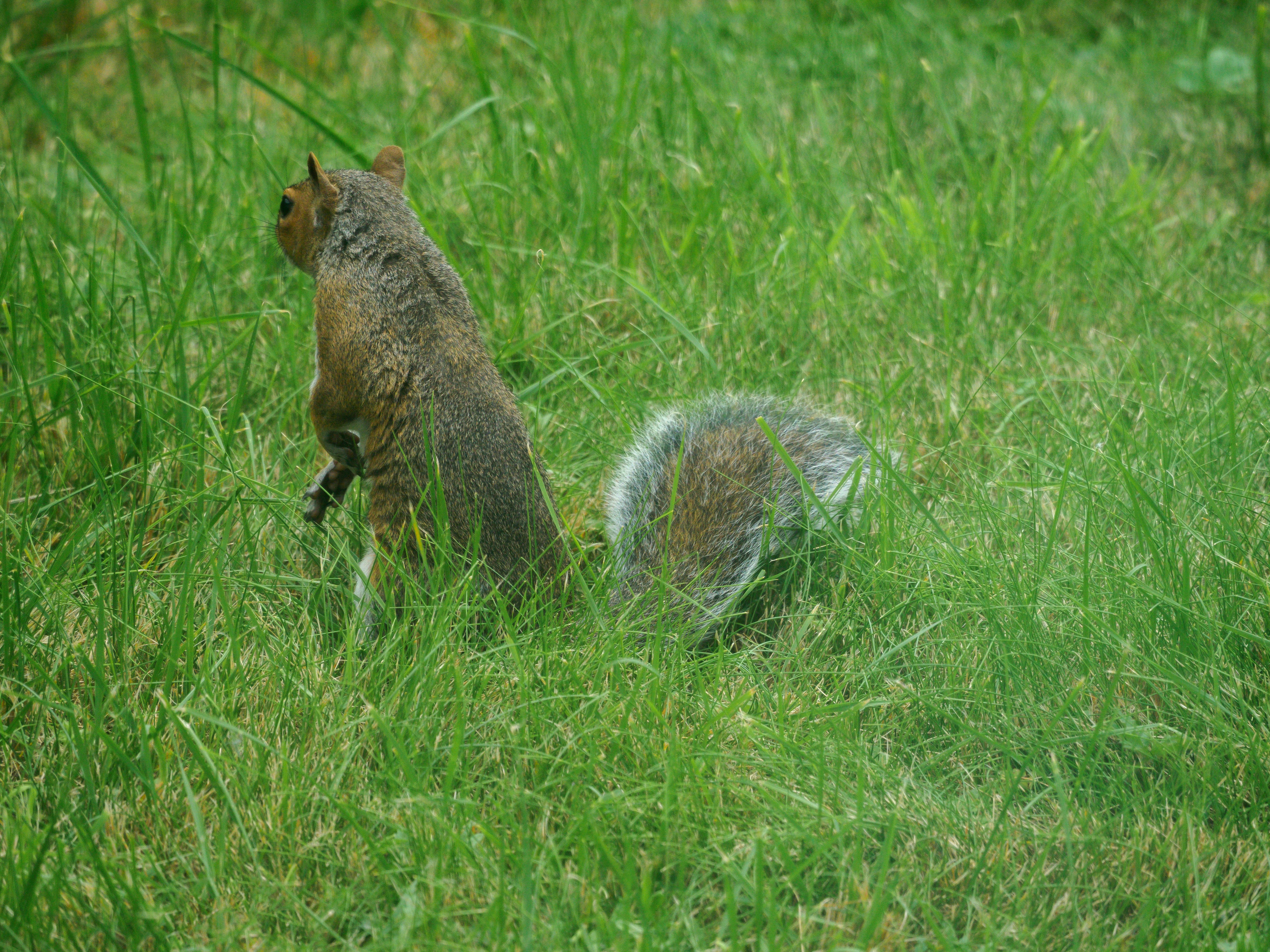 Photo by brett_jordan