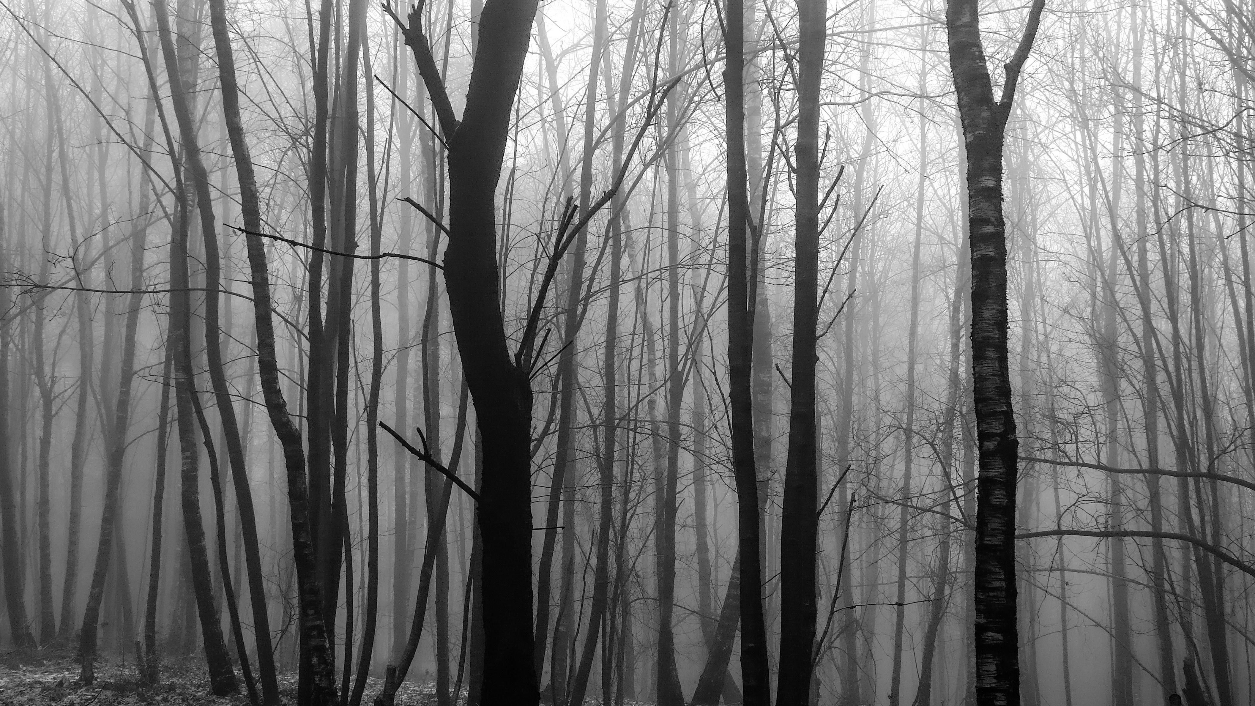 Photo by wilhelmgunkel