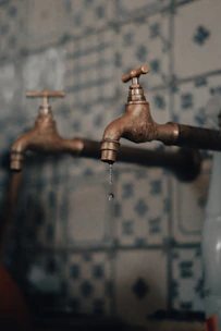 brown wooden water pipe with water drop