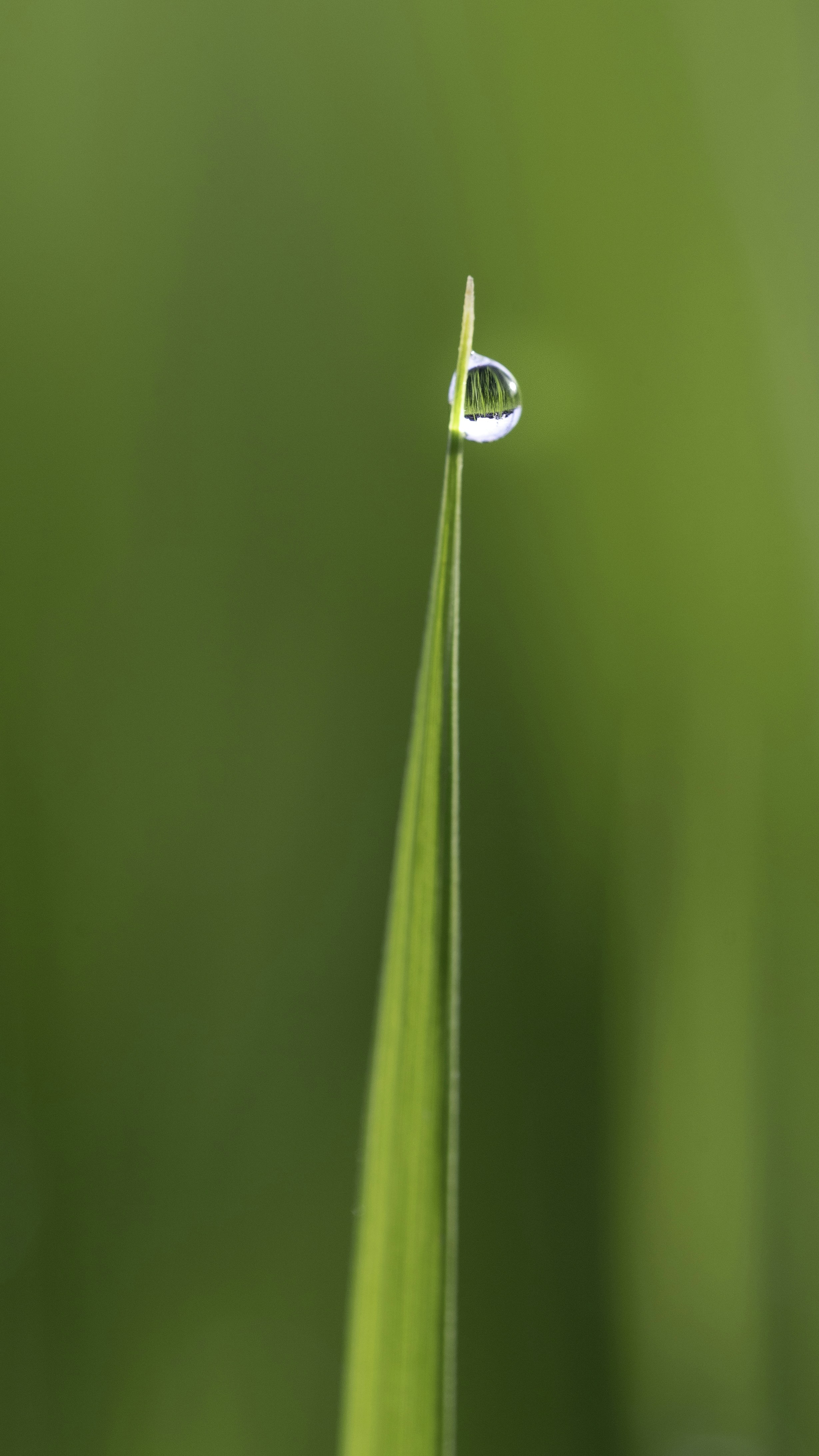 Photo by duongtrungthinh