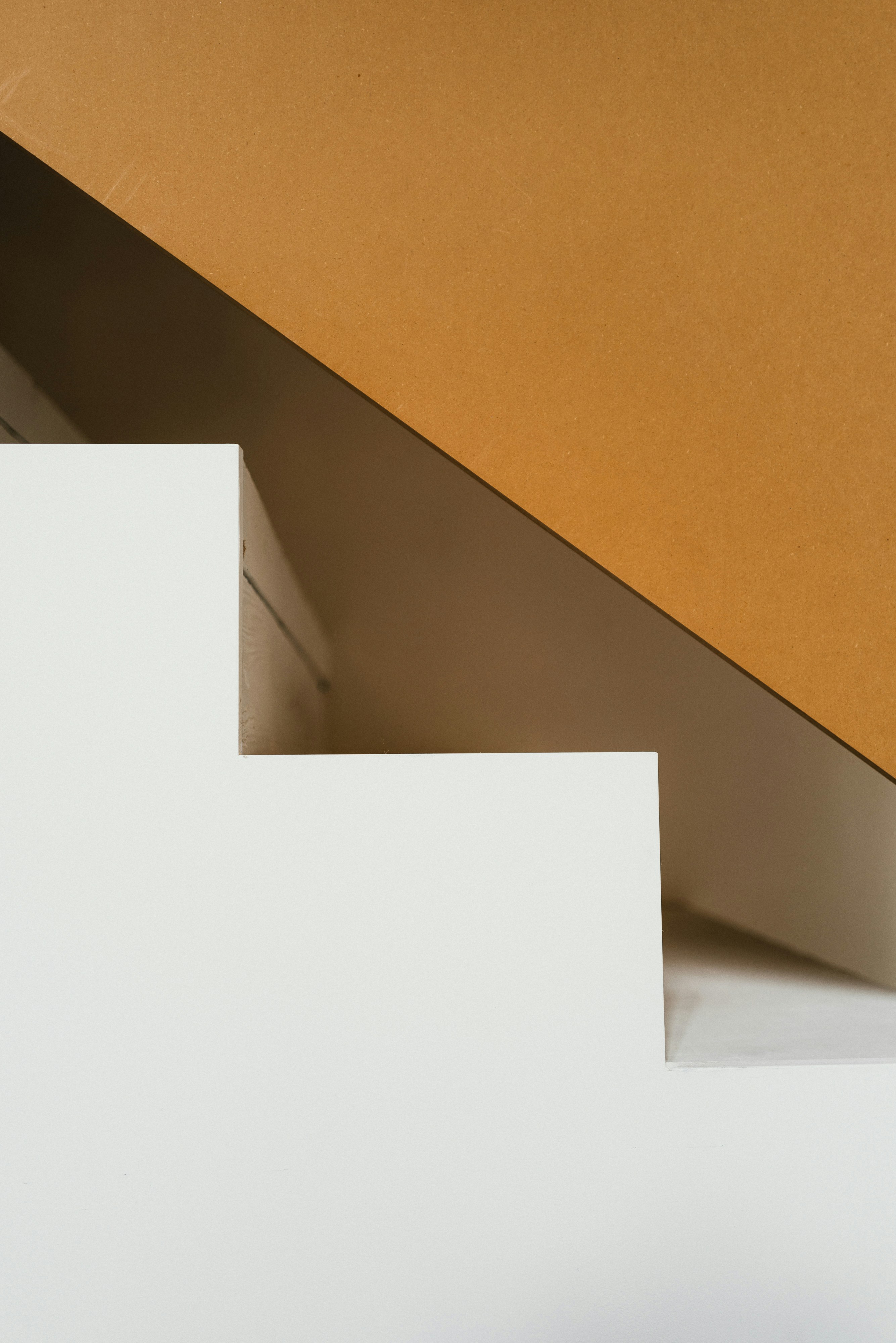 Photo by thommilkovic