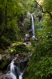 water falls in the middle of the forest