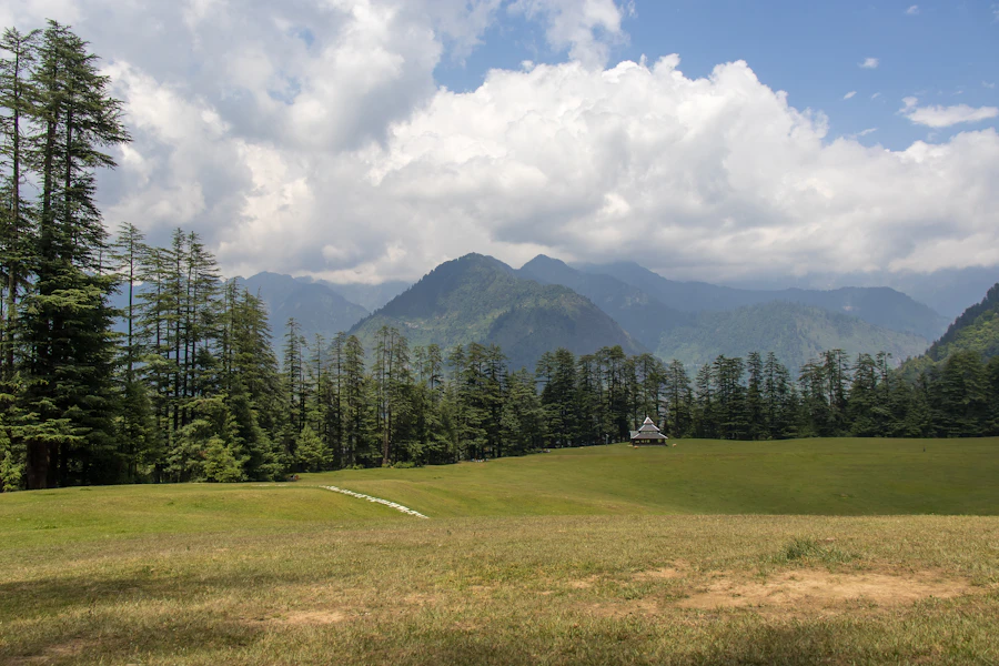 Rolling green hills and pine forest under a clear sky in the Indian Himalayas