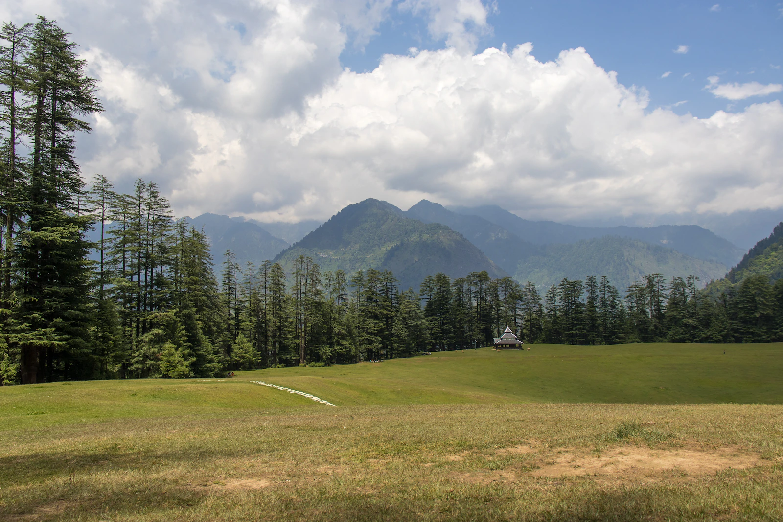Sainj Valley & Shangarh Meadows Offbeat Tour - 3N / 4D with cravel.in