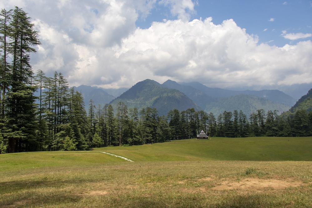 green grass field near green trees and mountain under white clouds and blue sky during daytime