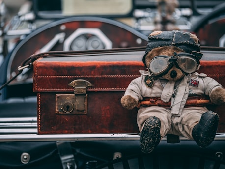 peluche en aviateur marron et noir portant des lunettes assis sur une voiture