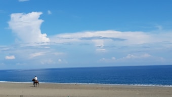 Photo 1630483413589 Fdfc7b1bf33c?q=85&w=340&h=340&fit=crop