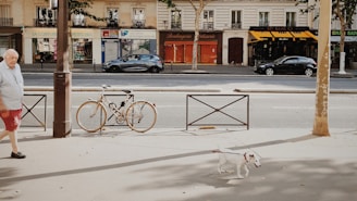 A street scene featuring a man walking with his dog on a sunny day. The background includes a row of shops with colorful signage and some parked cars. A bicycle is stationary on the sidewalk.