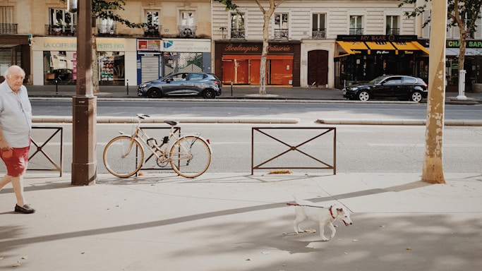 A street scene featuring a man walking with his dog on a sunny day. The background includes a row of shops with colorful signage and some parked cars. A bicycle is stationary on the sidewalk.