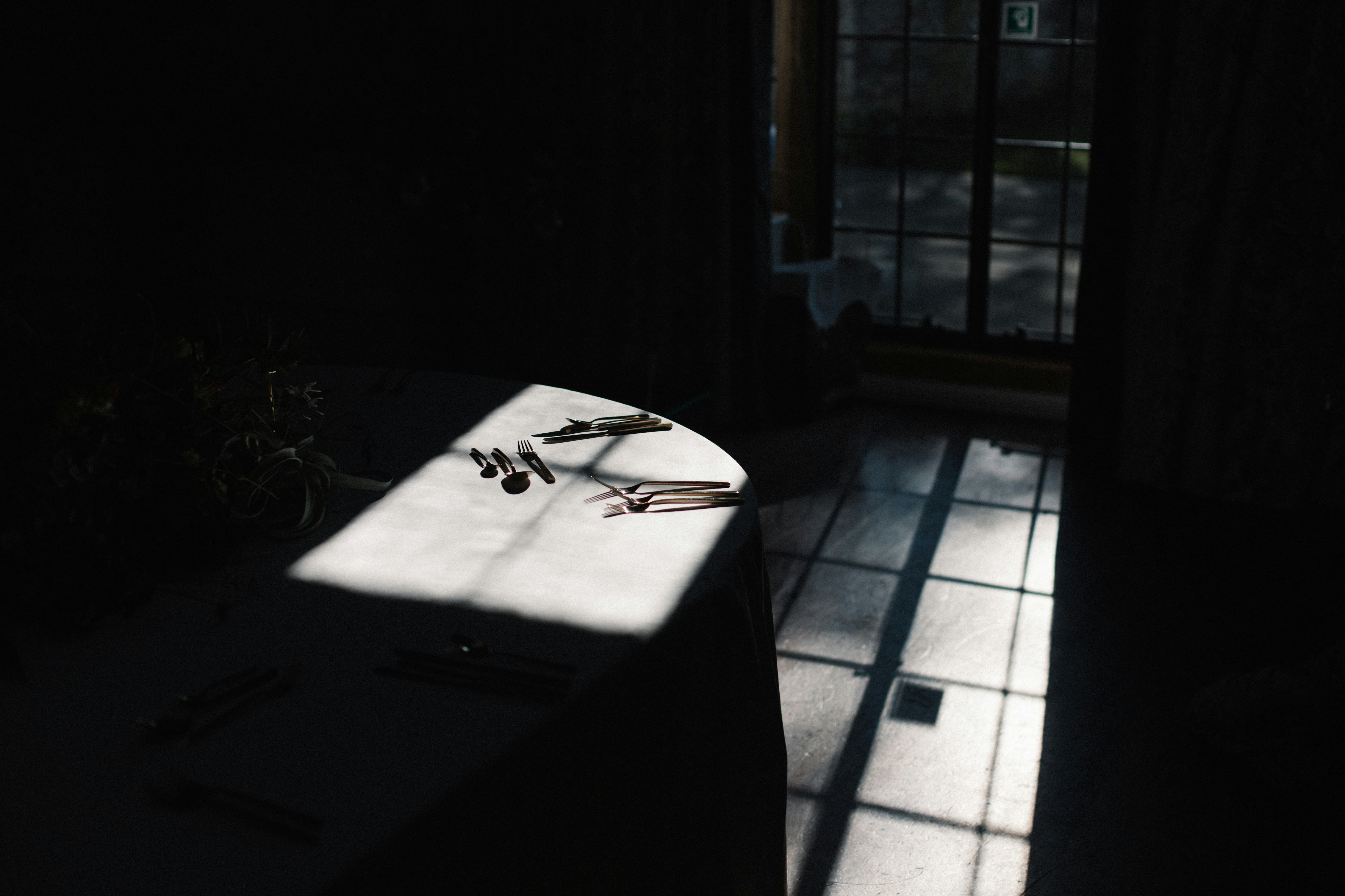 photo-1630484179298-07ed637b94d3?ixid=M3wxMjA3fDB8MXxzZWFyY2h8MTM4fHxyZWRkaXQlMjBhaXRhfGVufDB8fHx8MTc1MzY2MjQyN3ww%5Cu0026ixlib=rb-4.1.0