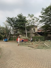 Team members loading tree branches and debris into a truck after removal.