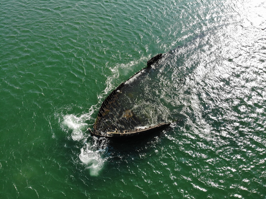 brown canoe on green water