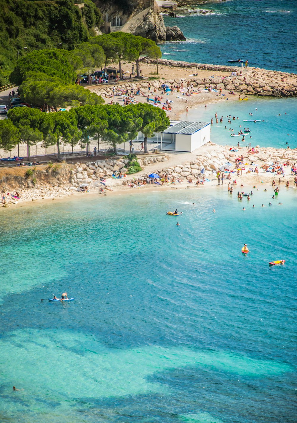 people swimming on beach during daytime
