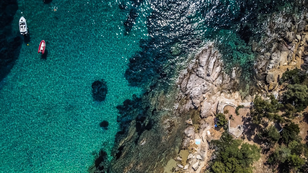 aerial view of green trees on brown rocky mountain beside blue sea during daytime