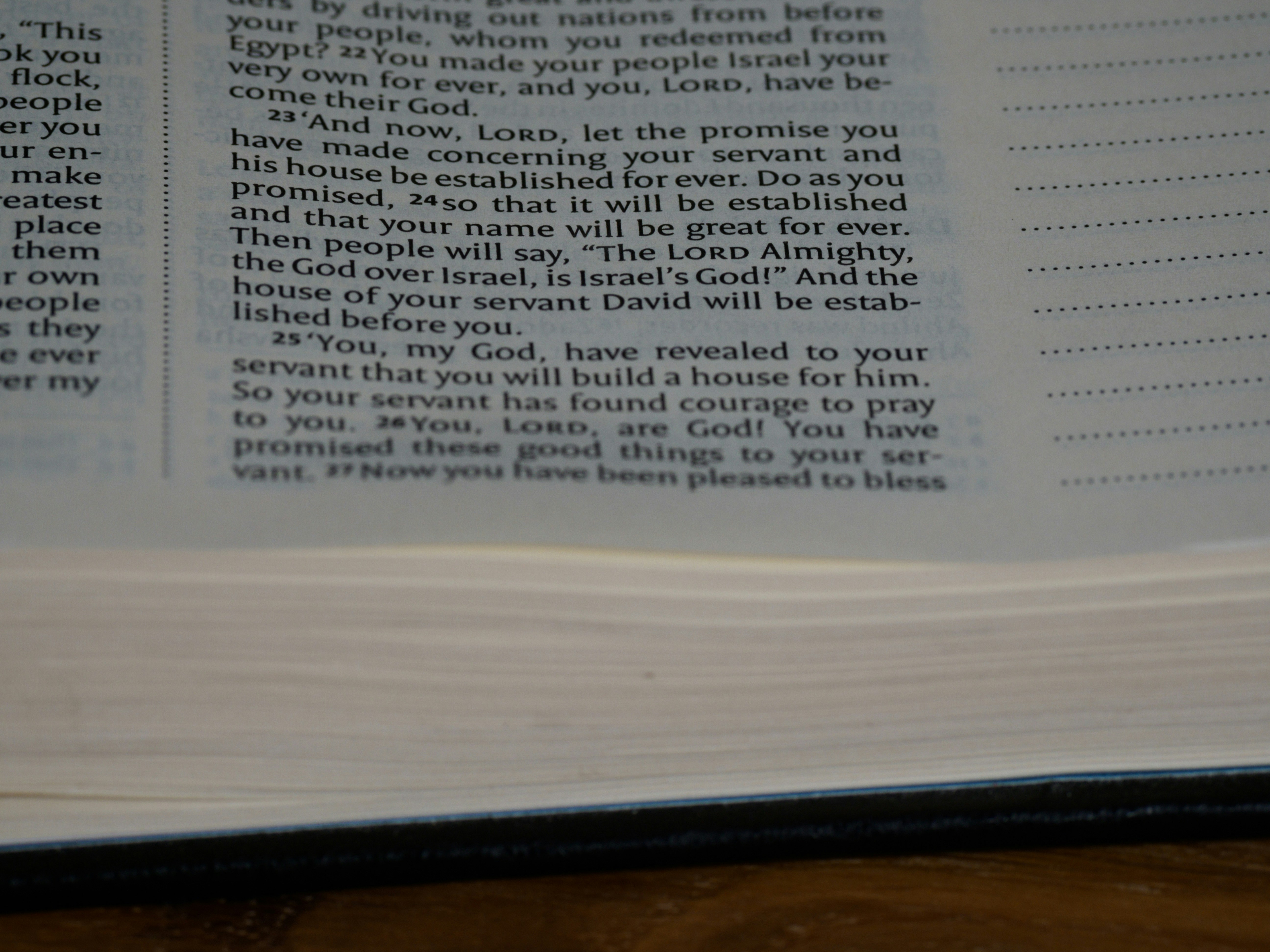 close up, bokeh, macro, blur, blurred background, close focus, bible, old testament, hebrew bible, christian, judaism, history, text, reading, bible study, devotions, text, NIV, New International Version, type, typography, canon, christianity, holy scripture, holy bible, scripture, chronicles, 1 chronicles, דִּבְרֵי־הַיָּמִים, Diḇrê Hayyāmîm, hebrew bible, final book, ketuvim, tanakh, septuagint, Paralipoménōn,  Books of Paralipomenon, first chronicles, historical, <br>