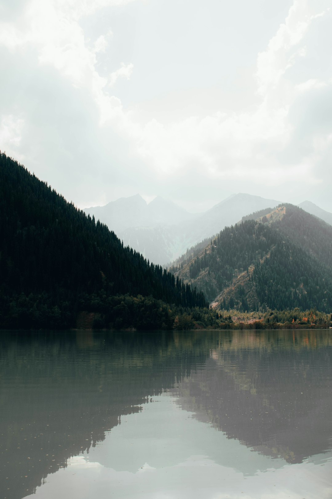 green trees near lake during daytime