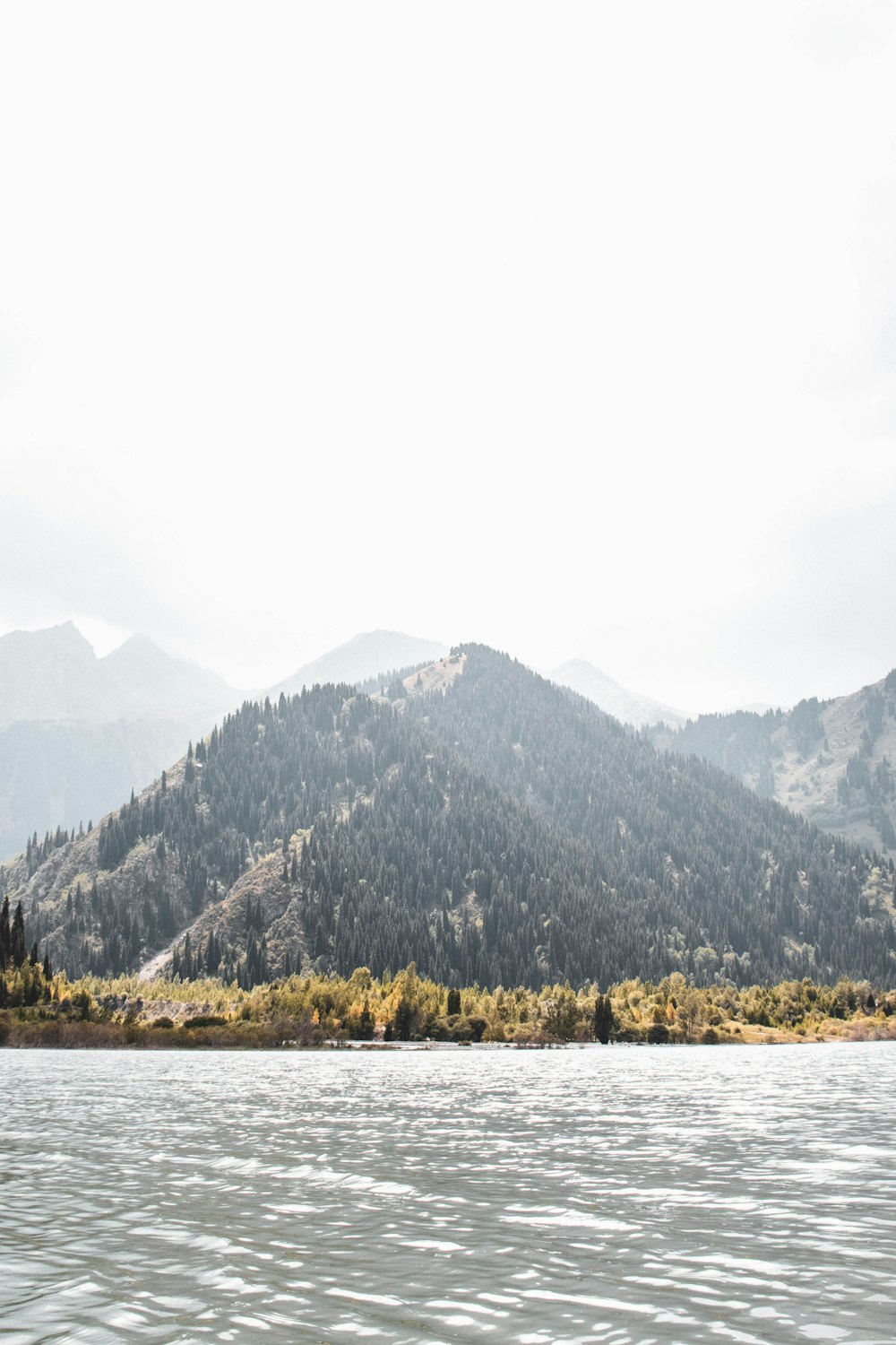 green trees near body of water during daytime