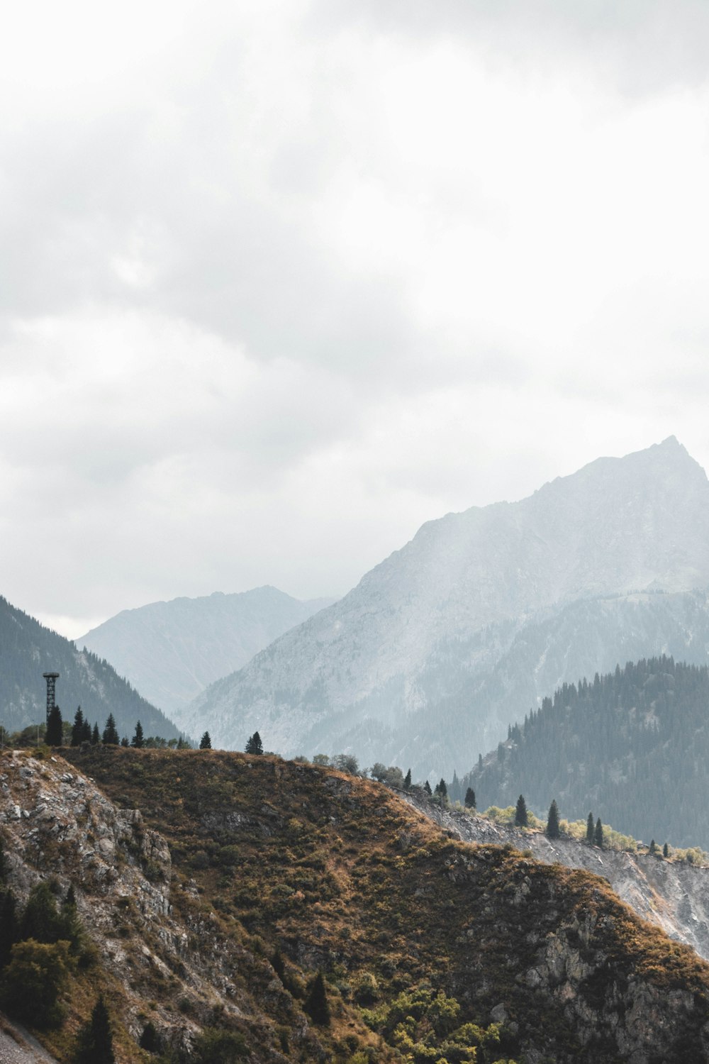 green trees on mountain under white sky during daytime