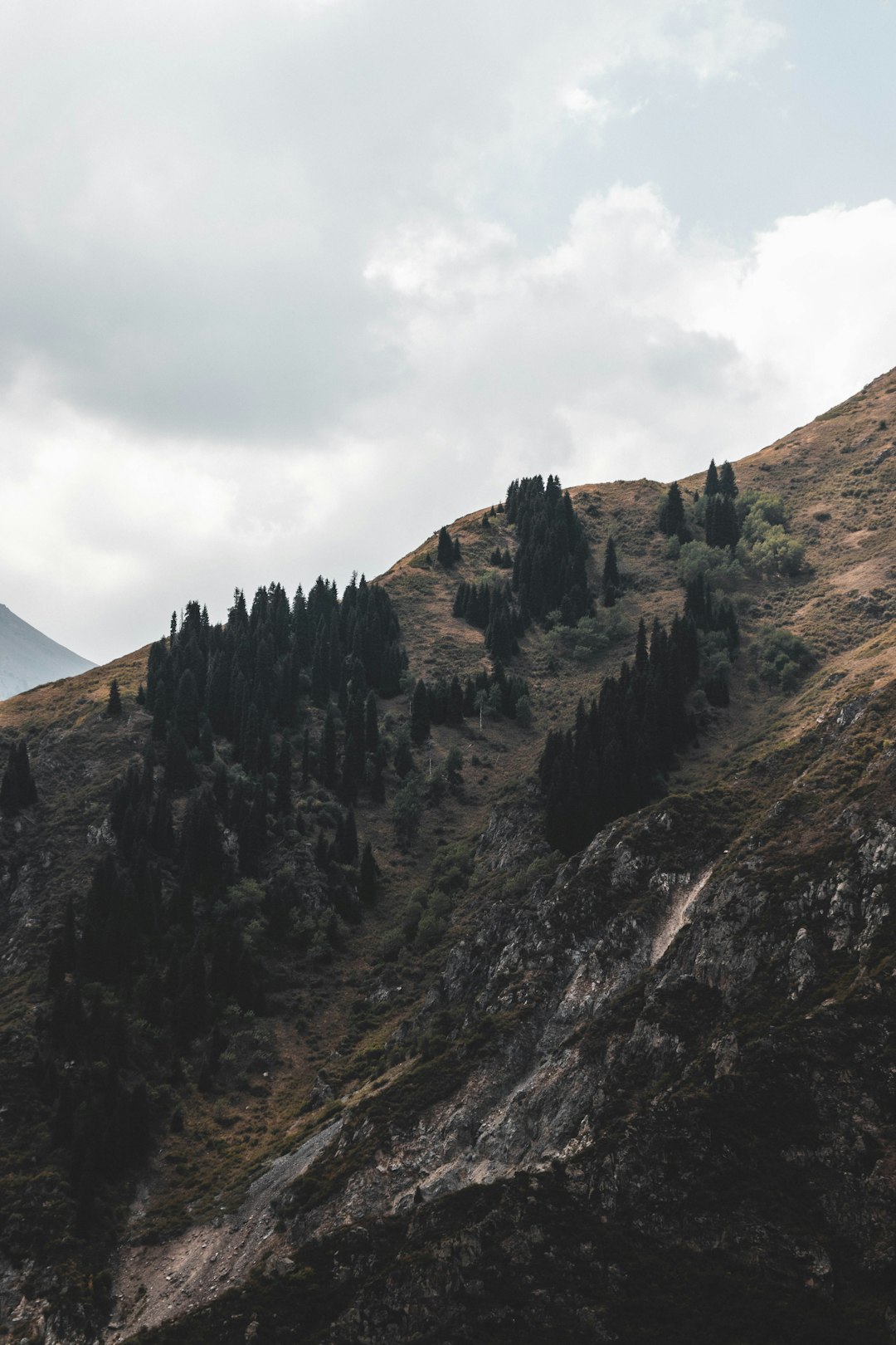 green trees on brown mountain under white clouds during daytime