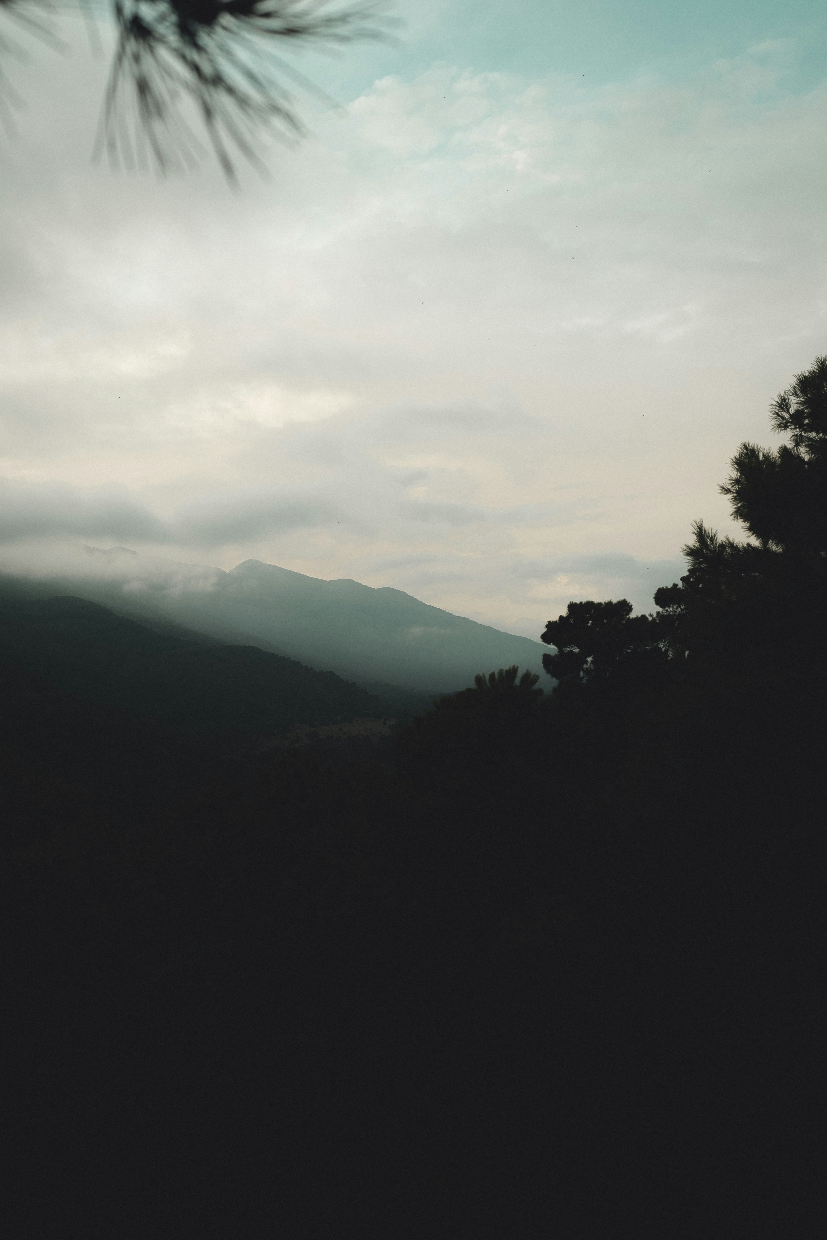 Photo by victor_broch