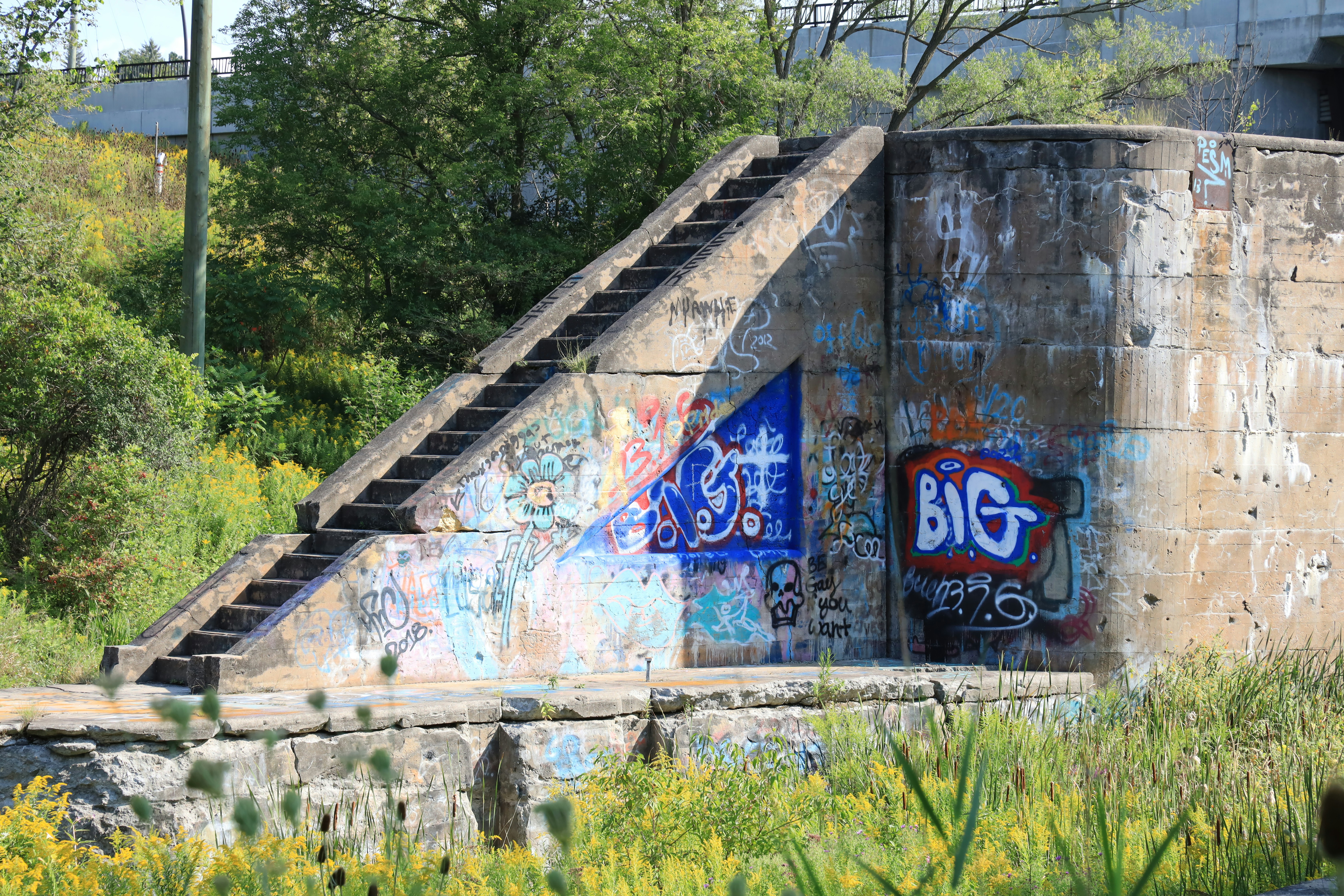 Understanding Conditional Image Generation with BigGAN