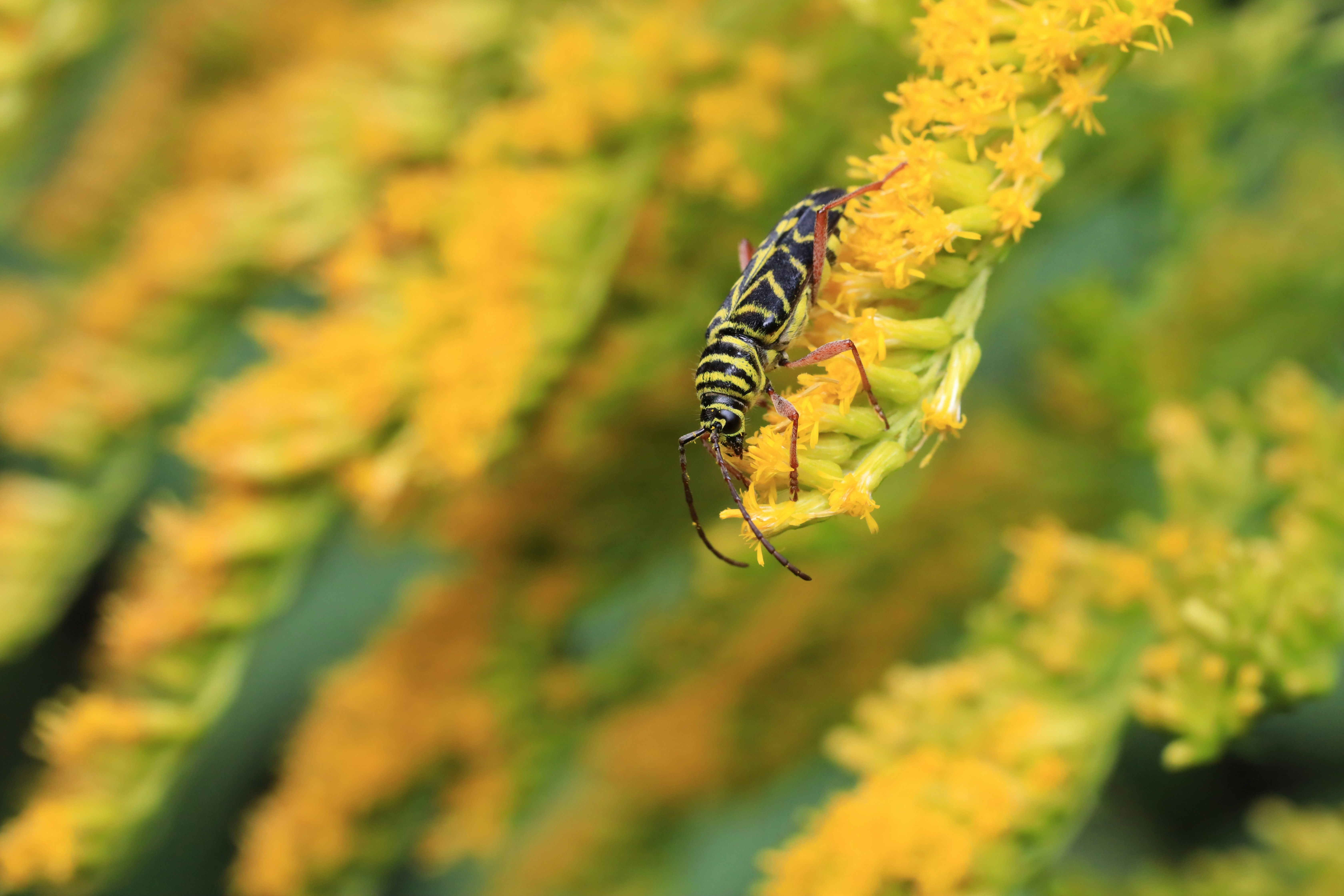 Photo by richardworks