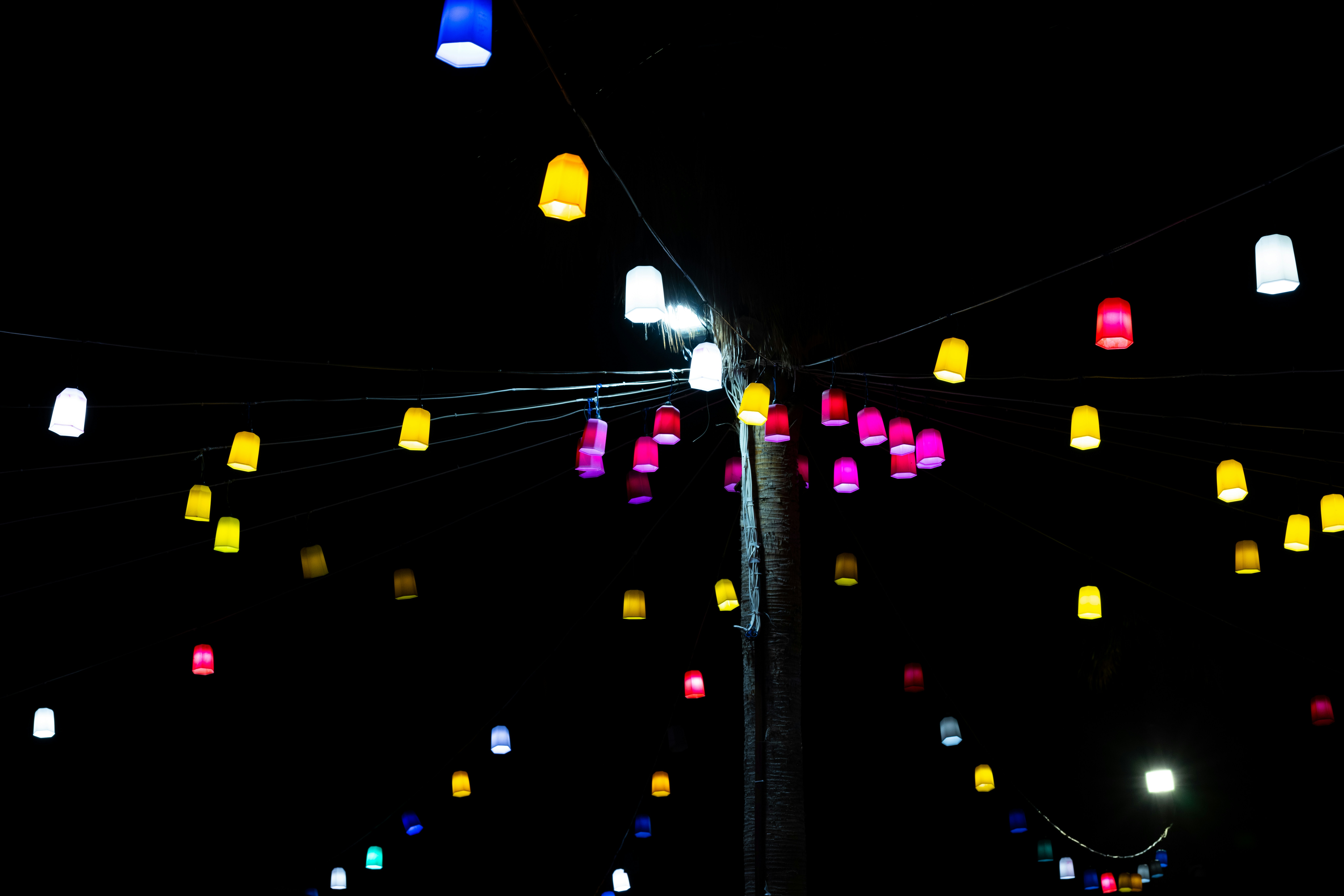 Photo by enginakyurt