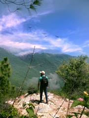 A person with a backpack and cap stands on a rocky outcrop, gazing at a vast green landscape with rolling hills under a clear blue sky. Several birds are flying in the distance, adding a sense of freedom and exploration. The foreground includes some wildflowers and trees, framing the serene natural scene.