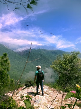 A person with a backpack and cap stands on a rocky outcrop, gazing at a vast green landscape with rolling hills under a clear blue sky. Several birds are flying in the distance, adding a sense of freedom and exploration. The foreground includes some wildflowers and trees, framing the serene natural scene.