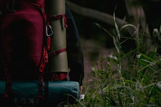 A person with a red hiking backpack carrying a green rolled-up sleeping mat and a teal-colored item. The surroundings are dense with tall green grasses, suggesting they are in a forest or outdoor environment.