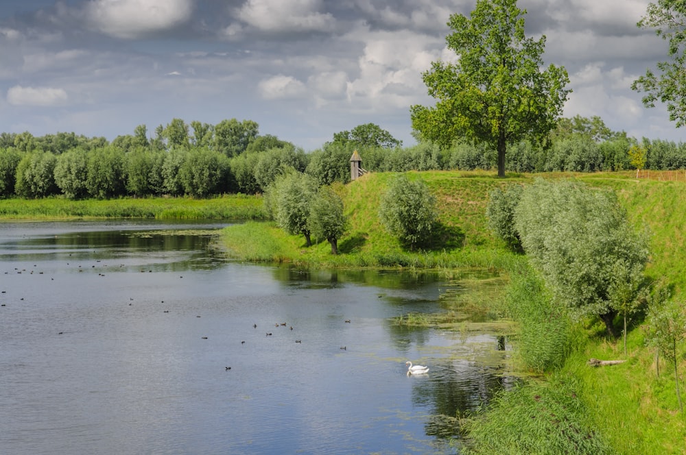 green grass field near body of water under cloudy sky during daytime