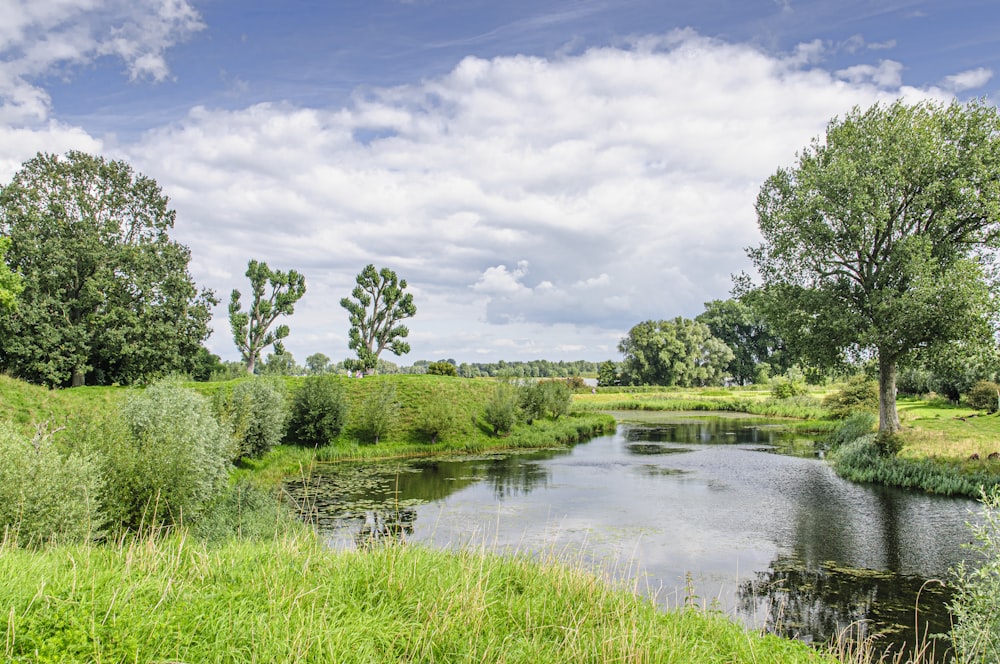 green trees beside river under cloudy sky during daytime