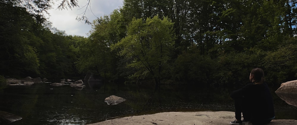 green trees beside river during daytime